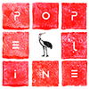 Popeline